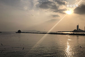 《广东省推动金融服务科技强省建设工作方案